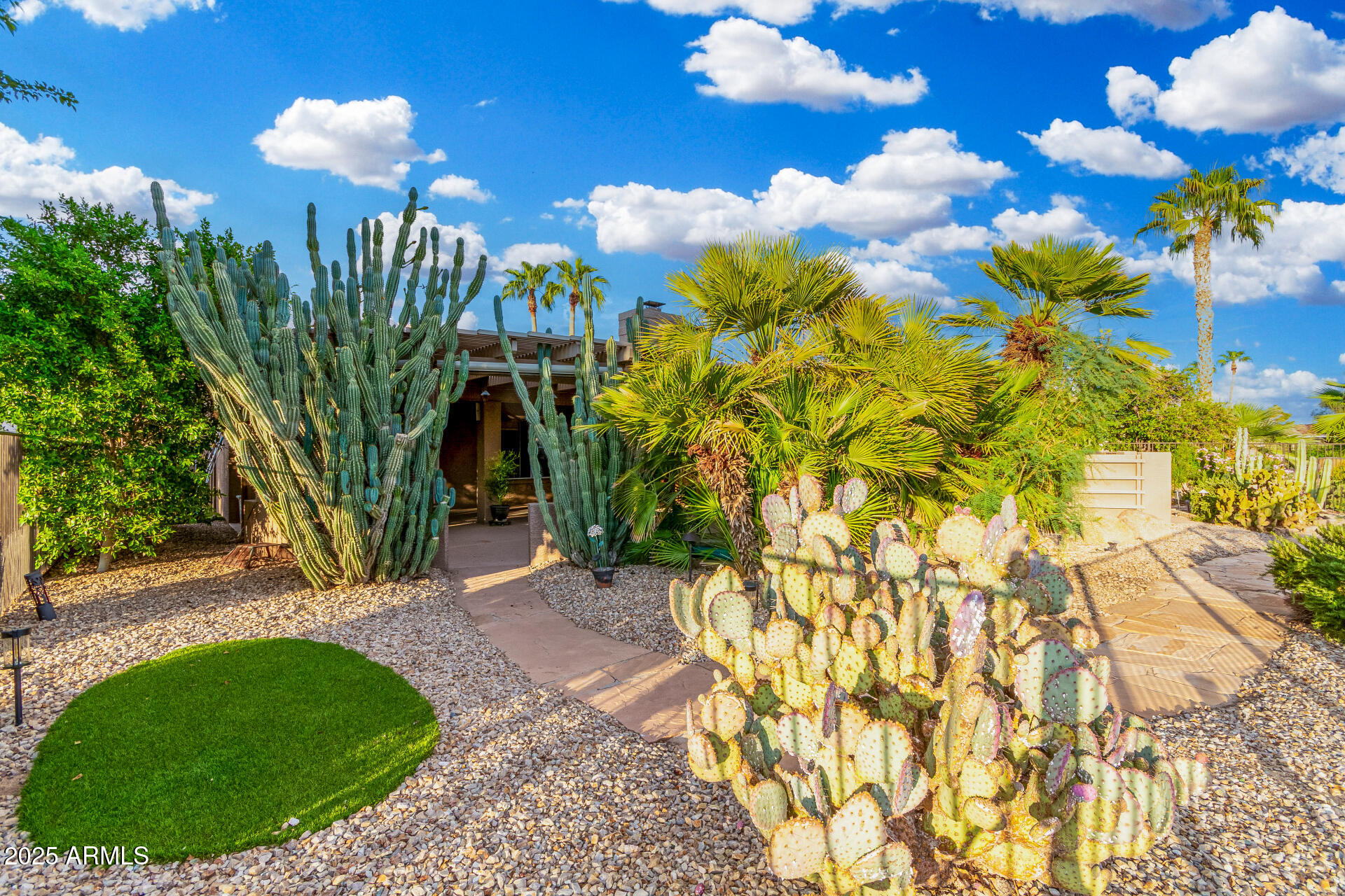 15531 Piccadilly Road Goodyear, AZ 85395 - Photo 50 of 54 a view of a flower in a yard