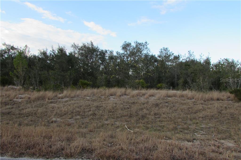 Violet Court Kissimmee, FL 34759 - Photo 1 of 1