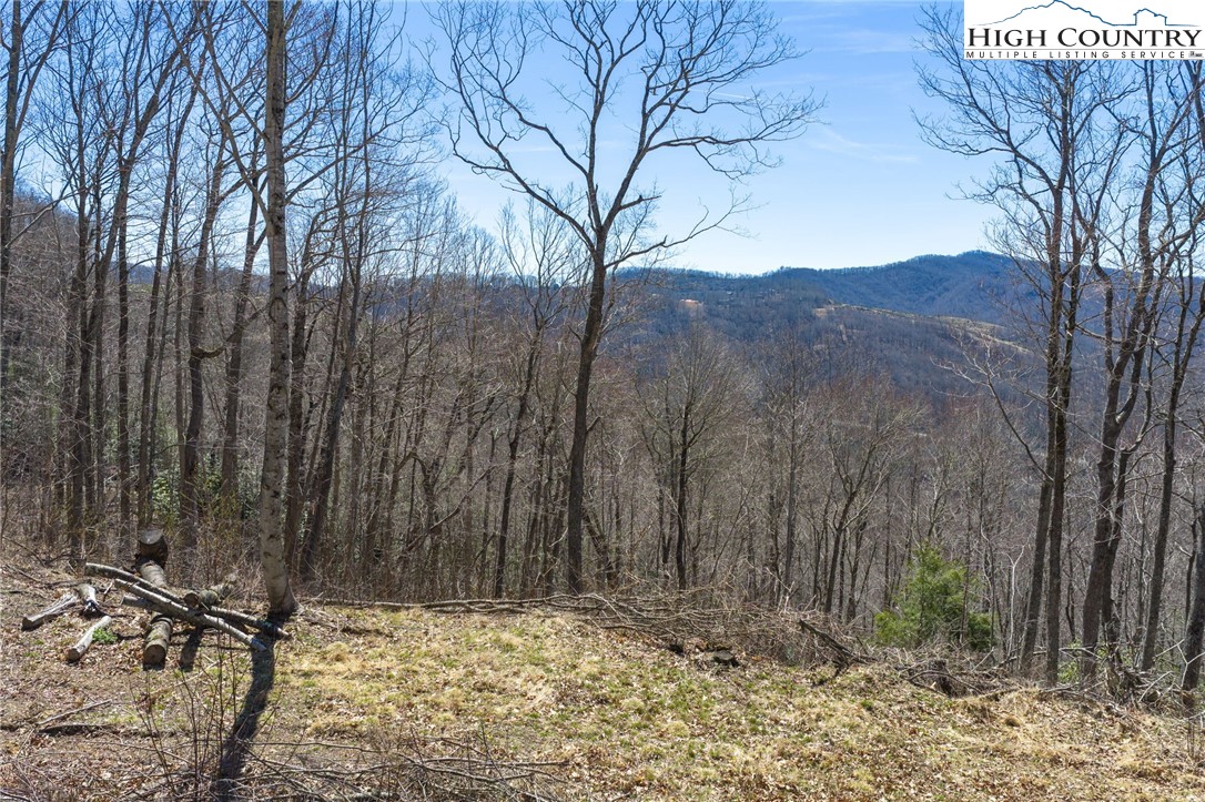Lot 80 Bear Paw Road Elk Park, NC 28622 - Photo 18 of 19