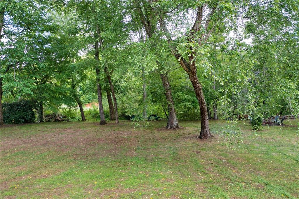 442 Cartecay River Run Ellijay, GA 30536 - Photo 52 of 63