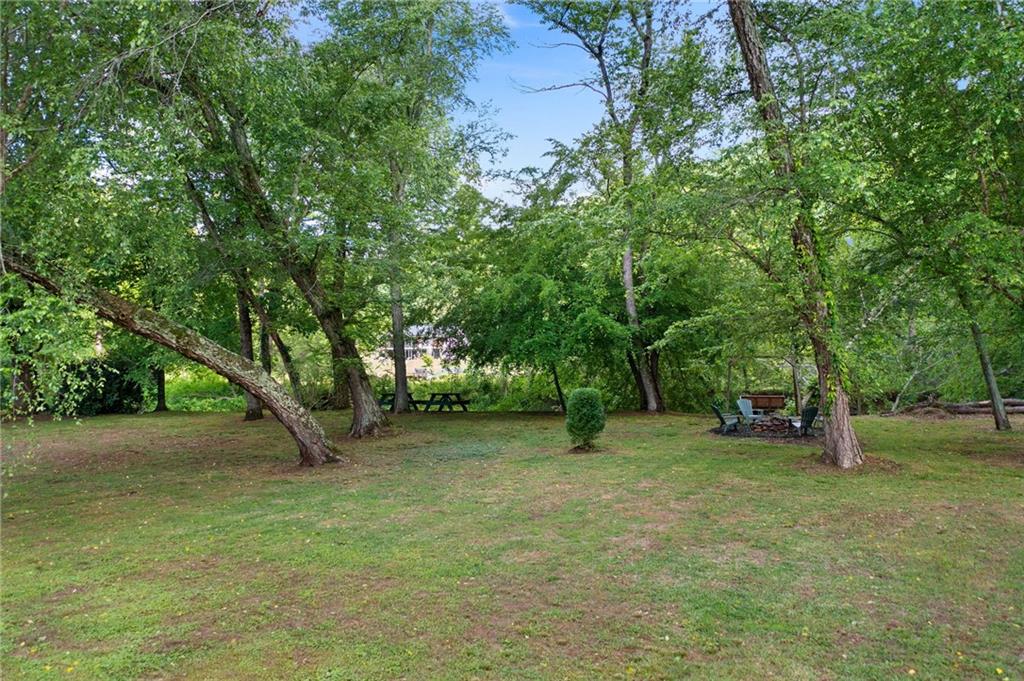 442 Cartecay River Run Ellijay, GA 30536 - Photo 53 of 63 a view of a trees in a yard