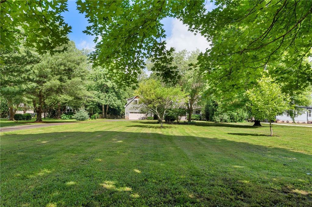 442 Cartecay River Run Ellijay, GA 30536 - Photo 55 of 63 a view of a trees in a park