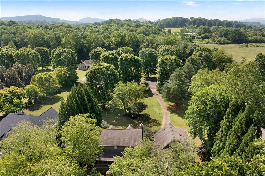442 Cartecay River Run Ellijay, GA 30536 - Photo 58 of 63 an aerial view of a house with a yard