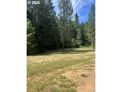 570 Tunnel Road Glendale, OR 97442 - Photo 2 of 16