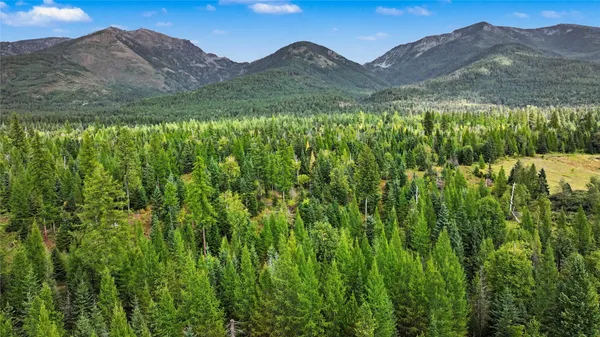 $5,382,000 | Undisclosed Address, Bigfork, MT 59911