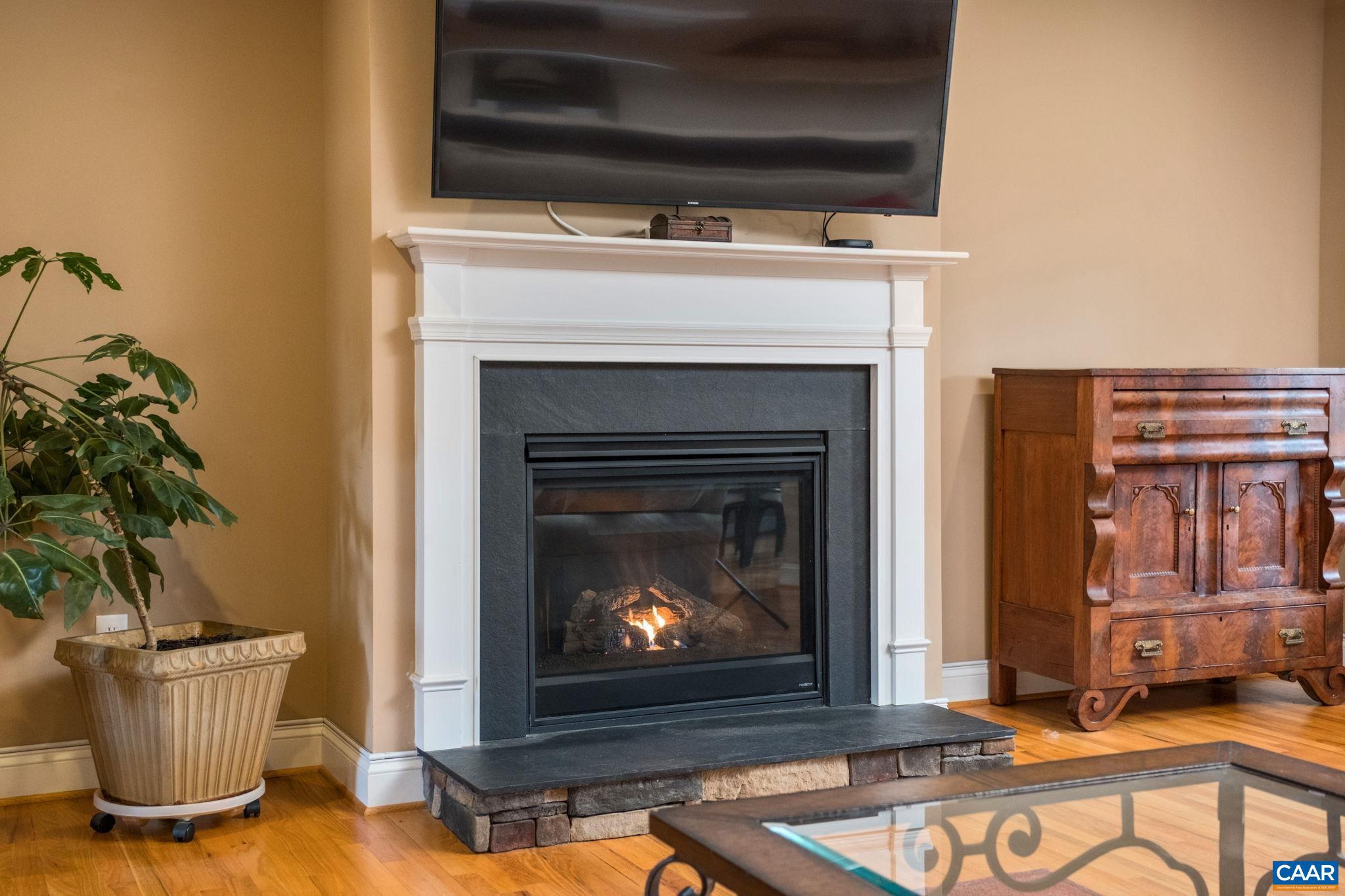 612 London Court Ruckersville, VA 22968 - Photo 10 of 55 a living room with a fireplace furniture and a potted plant