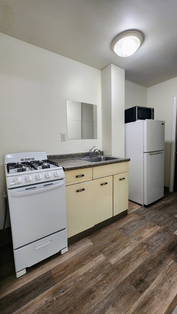 1919 West Berteau Avenue, Unit R Chicago, IL 60613 - Photo 4 of 6