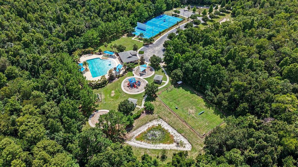 17823 Daisy Farm Drive Lutz, FL 33559 - Photo 5 of 6