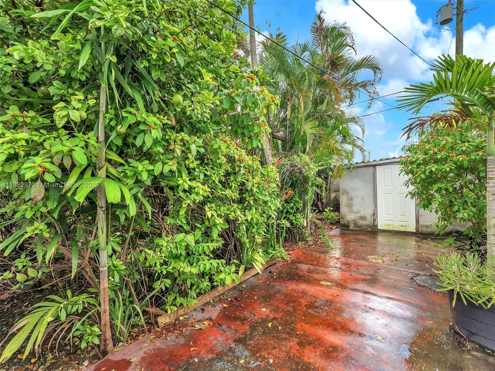 3680 Northwest 16th Street Miami, FL 33125 - Photo 29 of 45 a backyard of a house with lots of green space