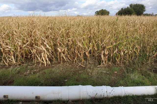 $1 | 4465 Oak Road, Ontario, OR 97914