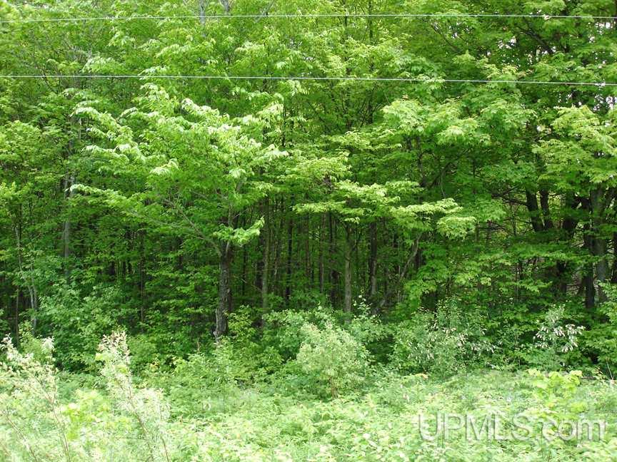 Tbd Co Rd 437 Cooks, MI 49817 - Photo 2 of 7