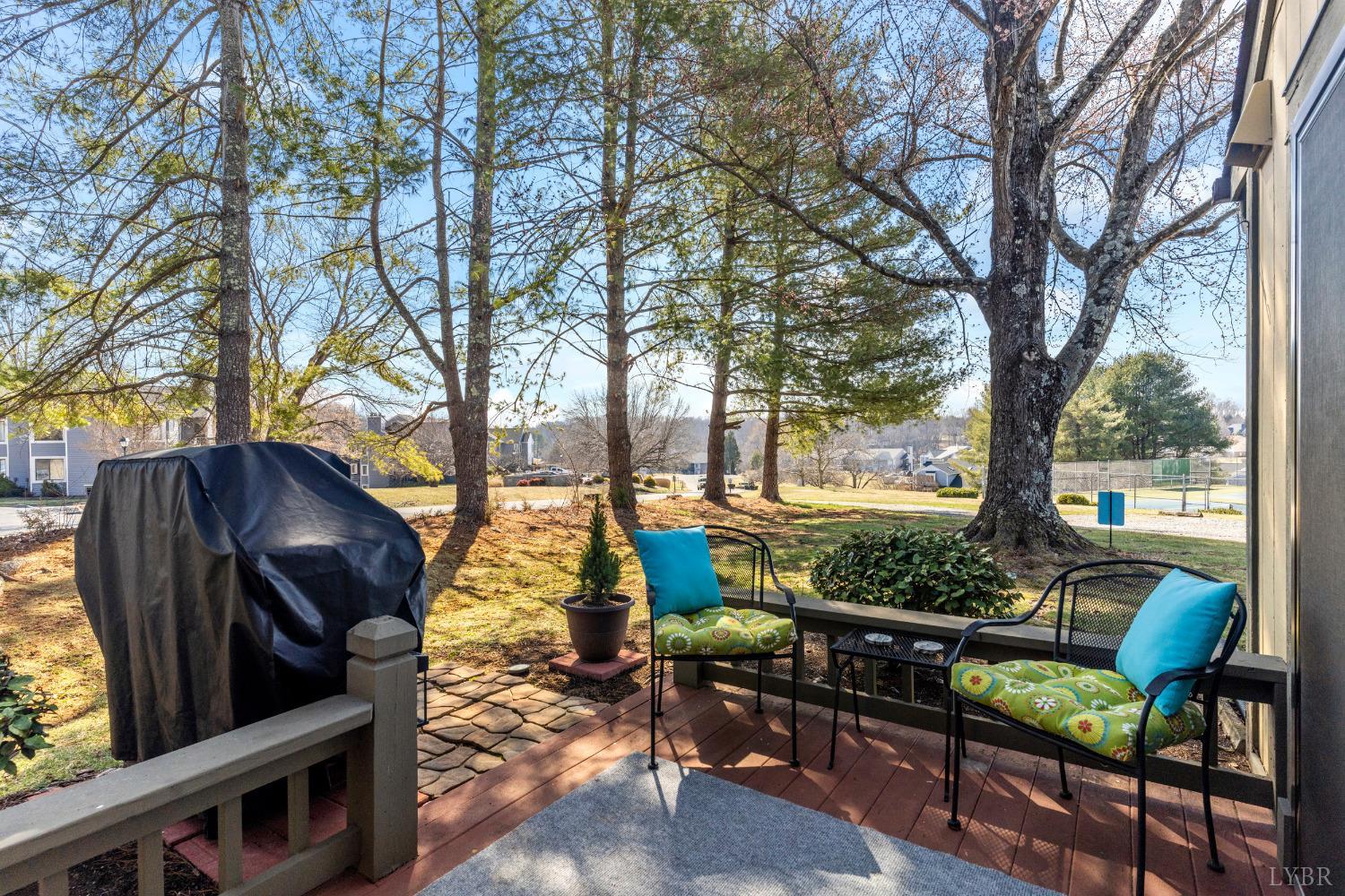 211 Walnut Ridge Drive Forest, VA 24551 - Photo 35 of 48 Gallery Image 35
