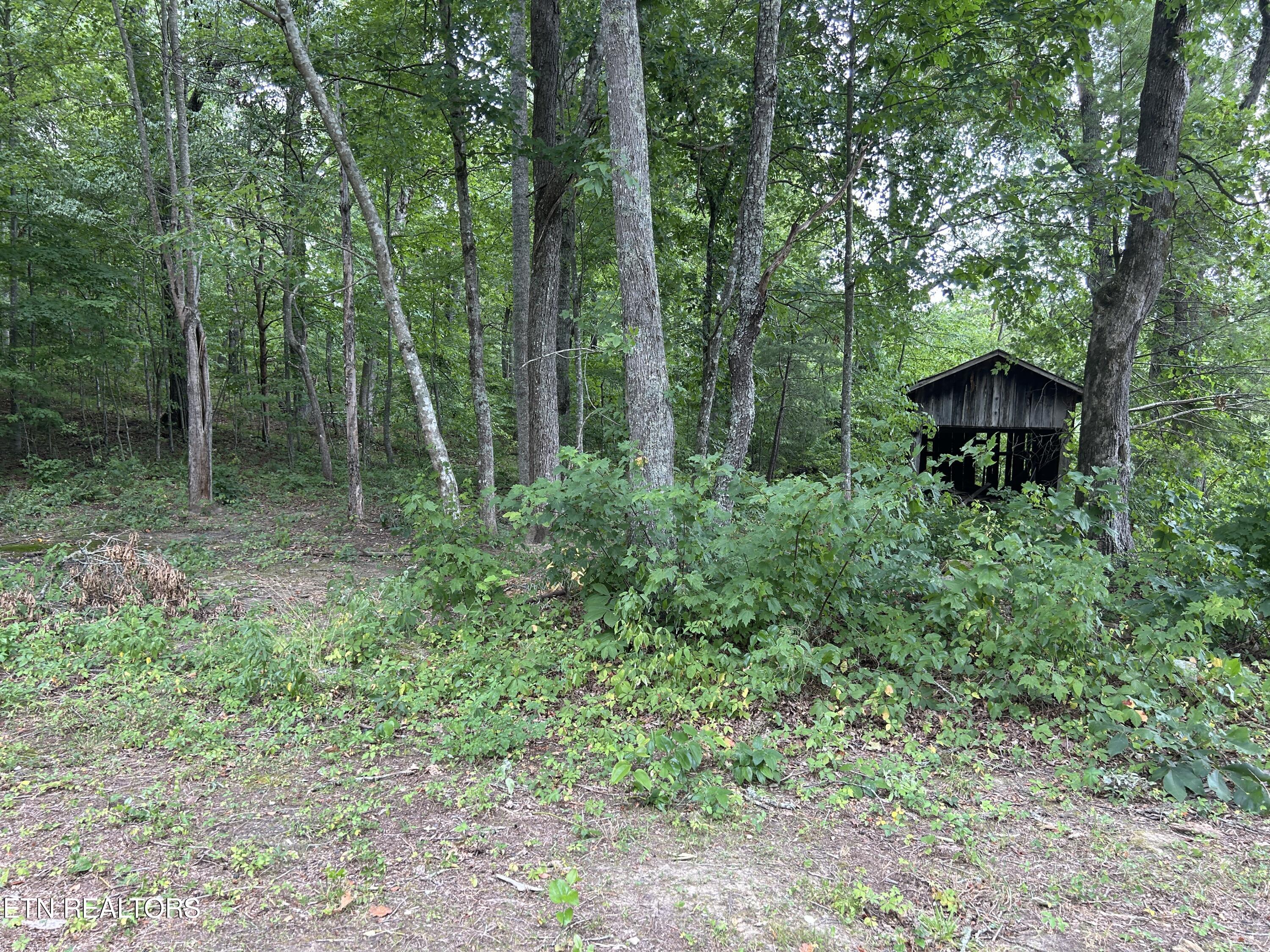 4423 Mt Helen Road Allardt, TN 38504 - Photo 30 of 34 IMG_8960
