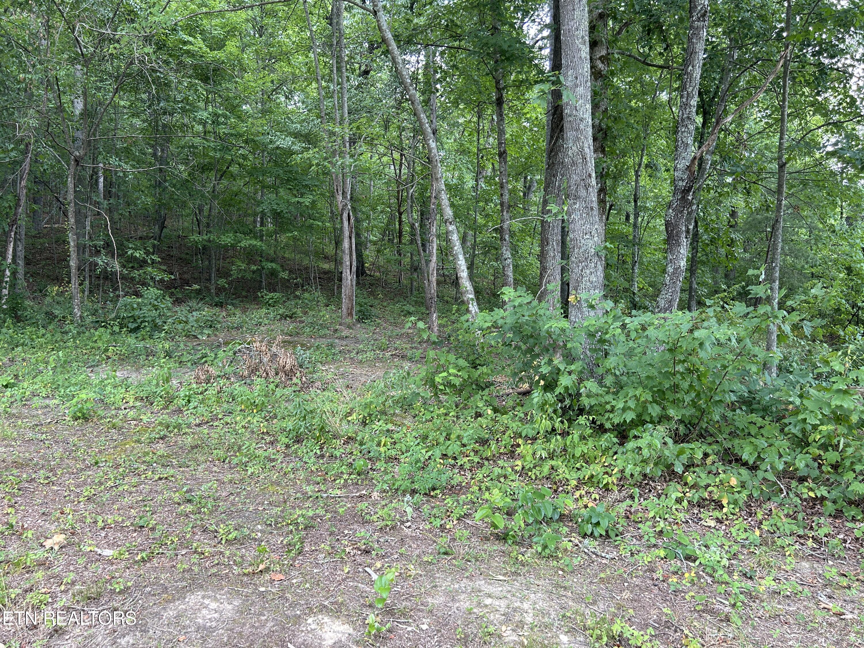 4423 Mt Helen Road Allardt, TN 38504 - Photo 31 of 34 IMG_8961