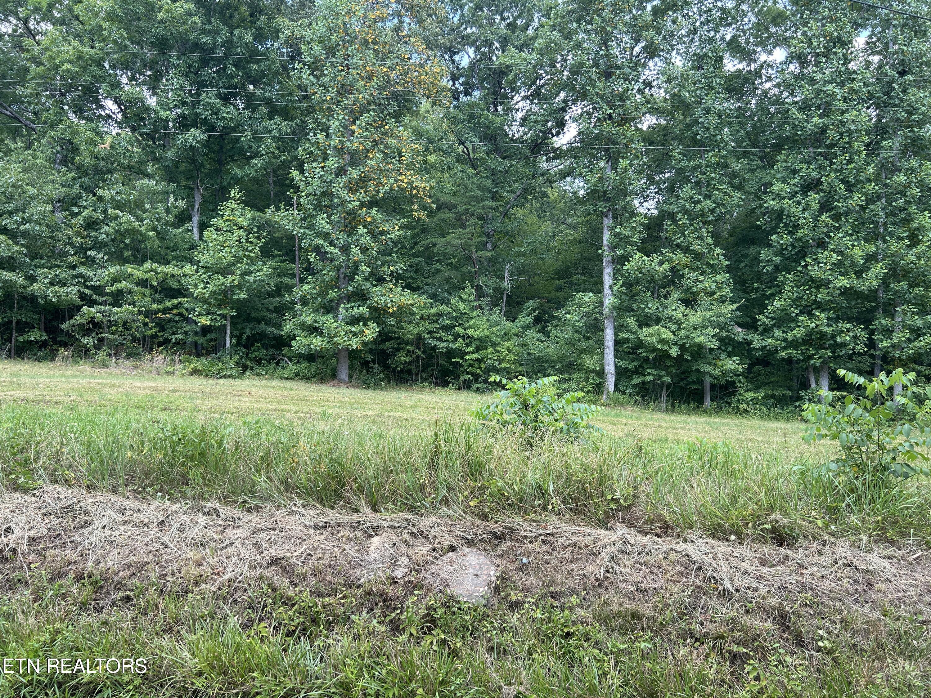 4423 Mt Helen Road Allardt, TN 38504 - Photo 32 of 34 IMG_8962