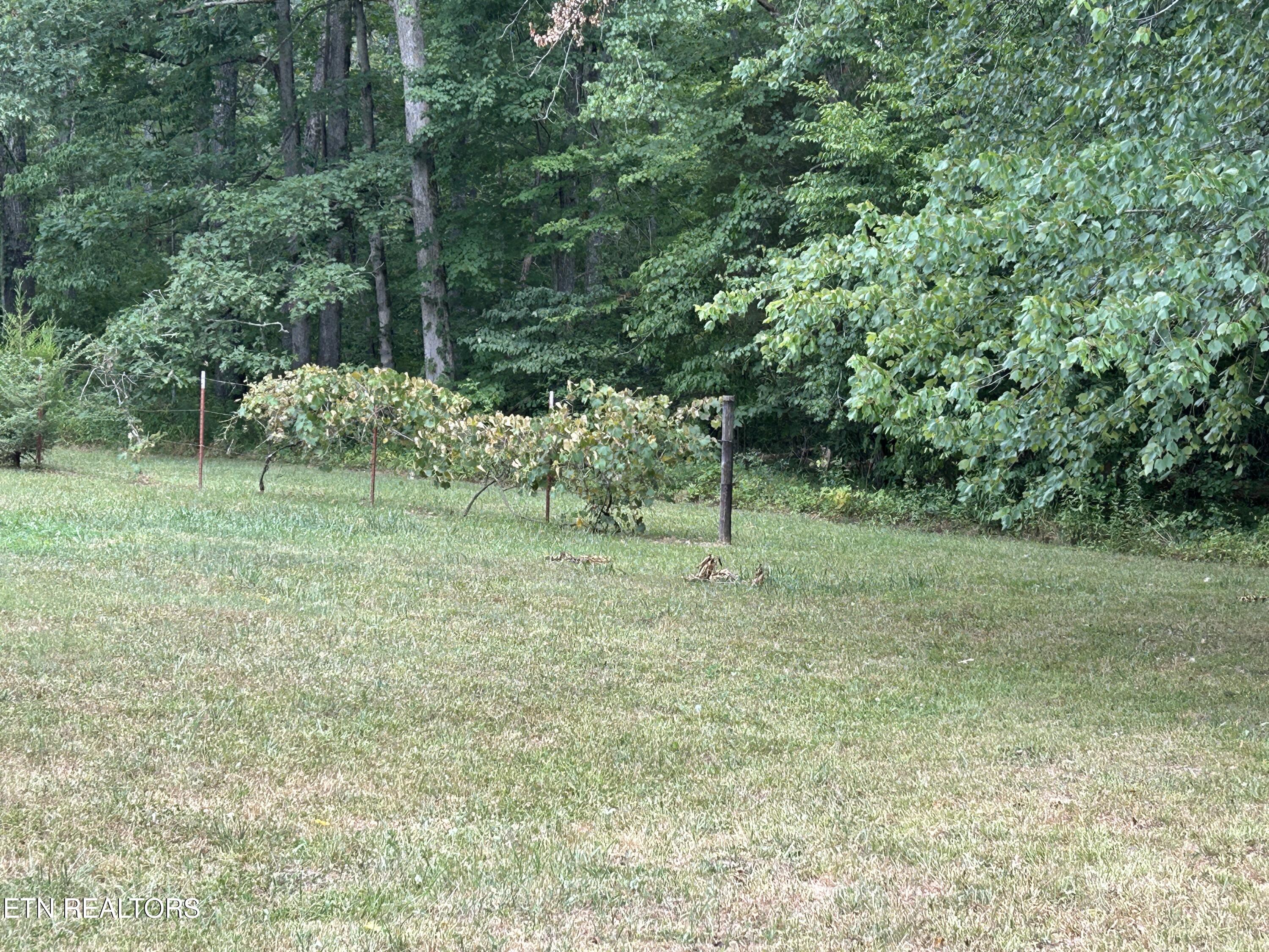 4423 Mt Helen Road Allardt, TN 38504 - Photo 33 of 34 IMG_8934