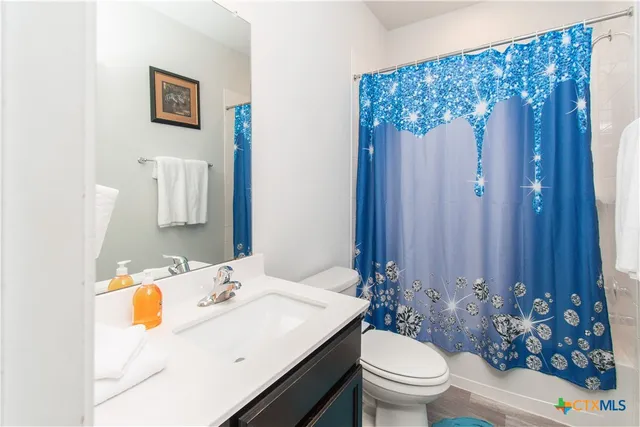 a bathroom with a sink a toilet and shower curtain