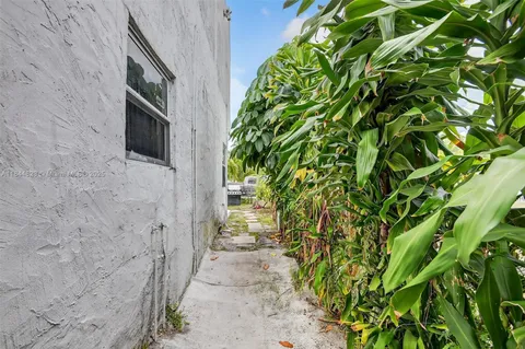 a pathway with a yard