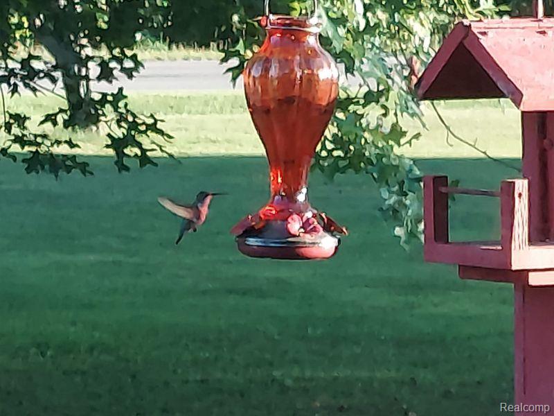 2850 West Labo Road Carleton, MI 48117 - Photo 9 of 33
