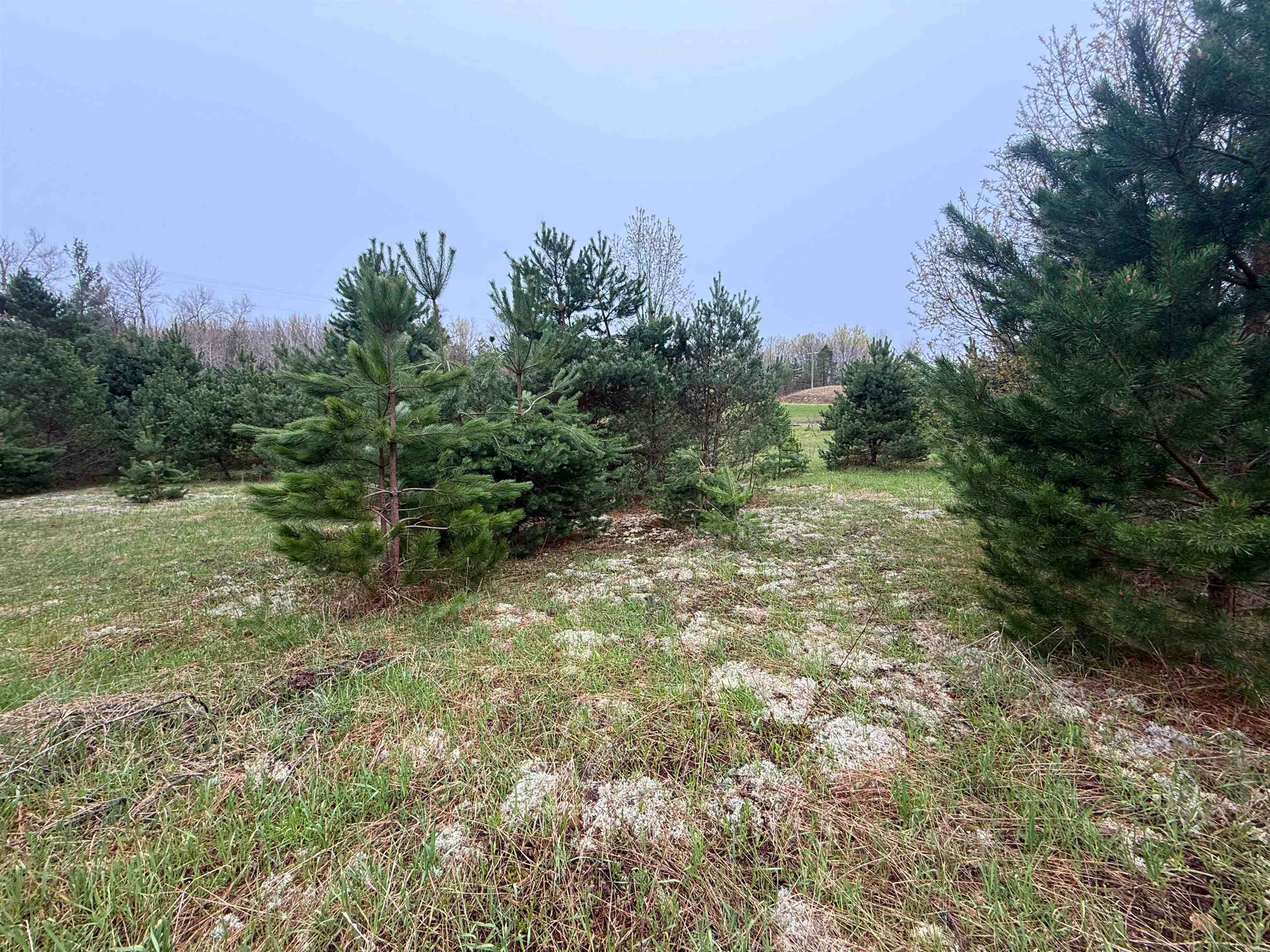 0 West County Line Road, Unit LOT: C Thompsonville, MI 49683 - Photo 19 of 21
