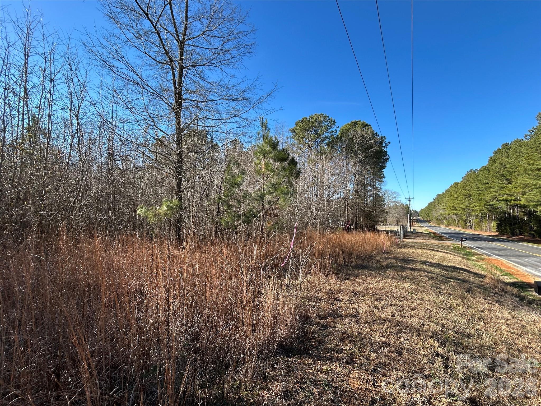 38-ac Mountain Gap Road Richburg, SC 29729 - Photo 2 of 5 a view of a dry yard