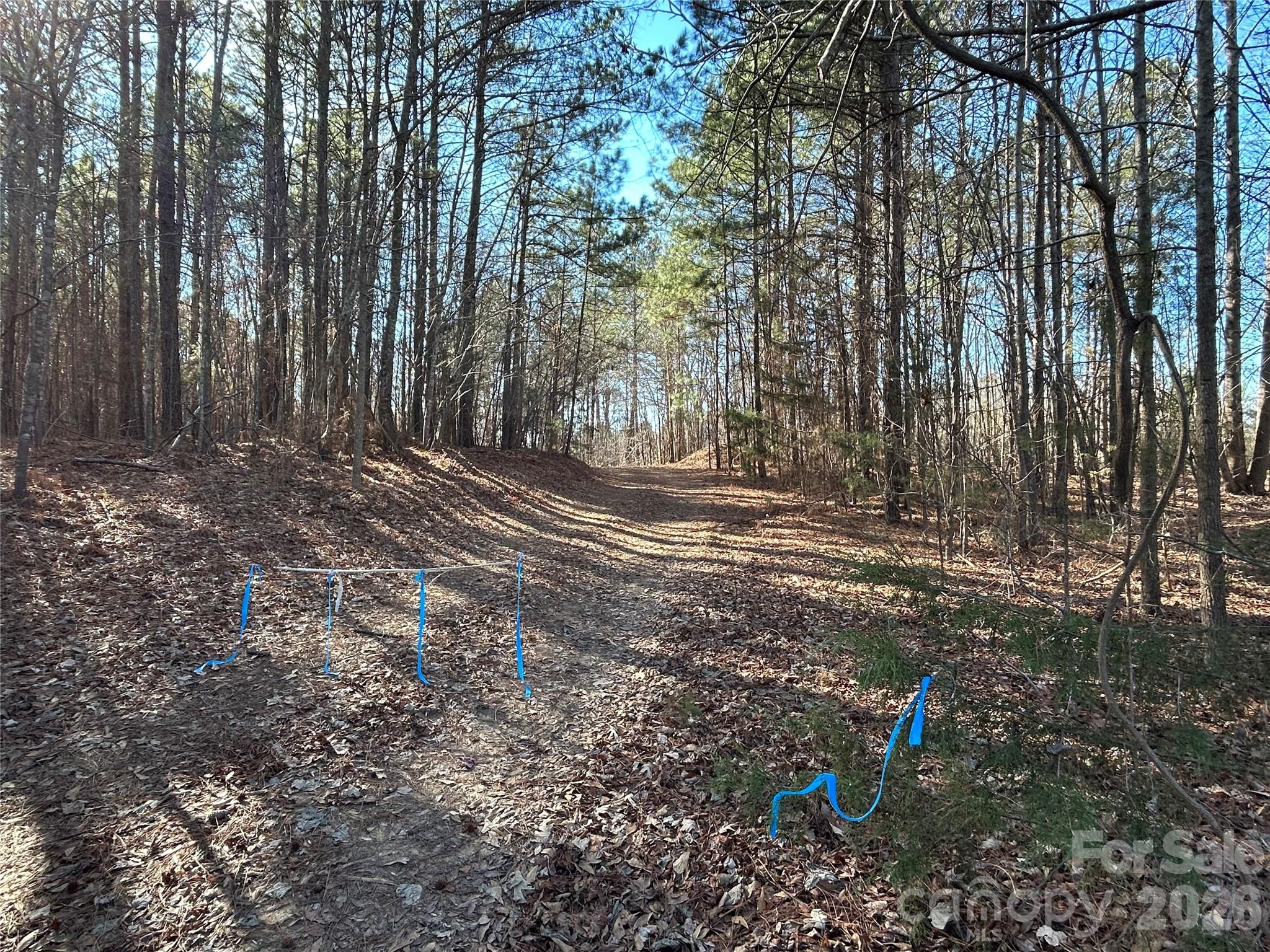38-ac Mountain Gap Road Richburg, SC 29729 - Photo 5 of 5 a view of a yard with plants and trees