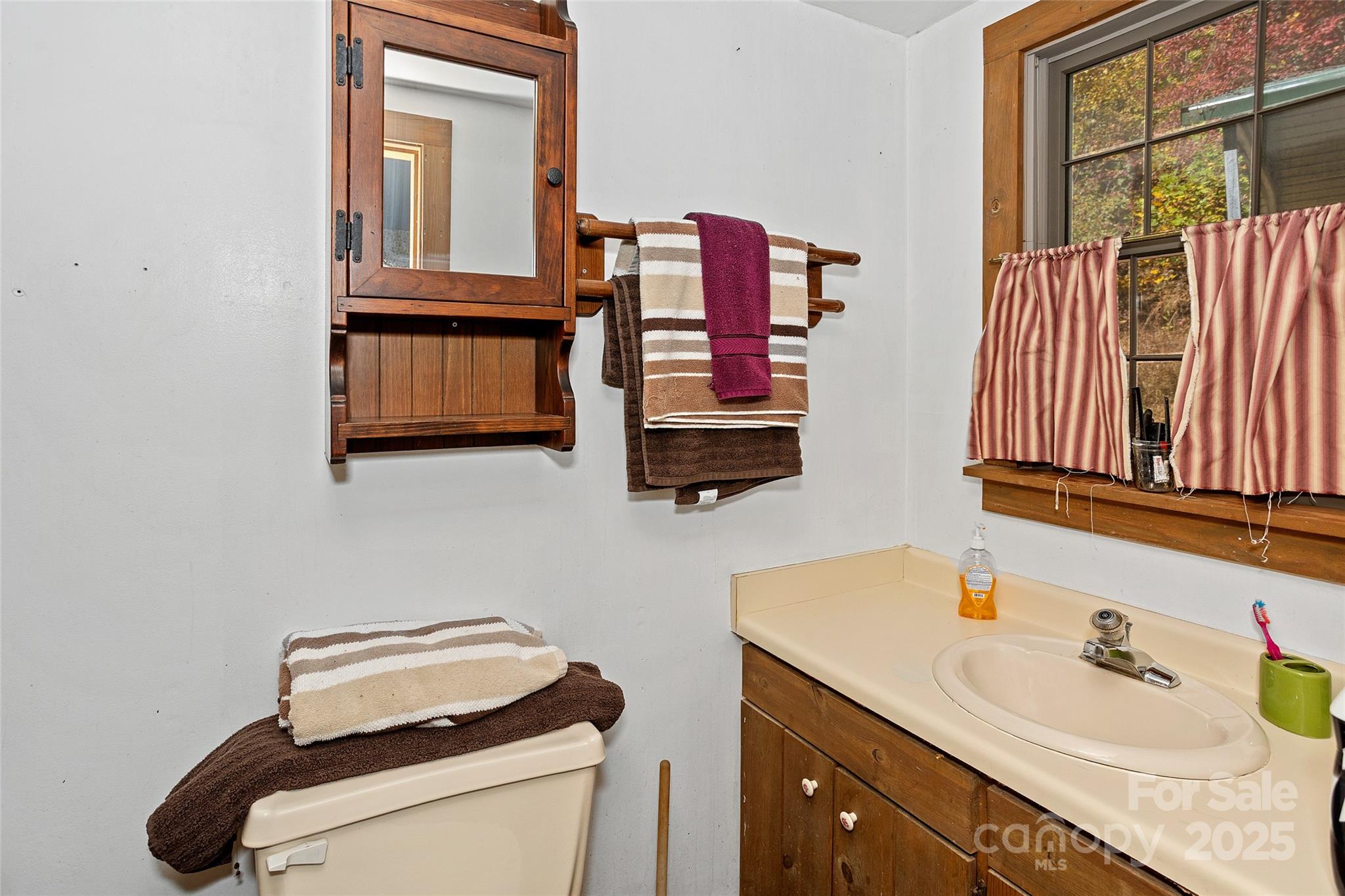 310 Log Gap Road Fairview, NC 28730 - Photo 29 of 46 a bathroom with a sink and a mirror