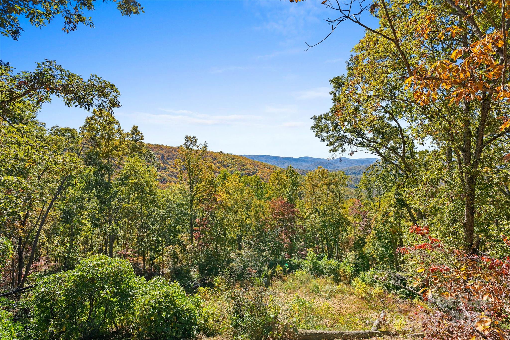 310 Log Gap Road Fairview, NC 28730 - Photo 45 of 46 a view of a houses