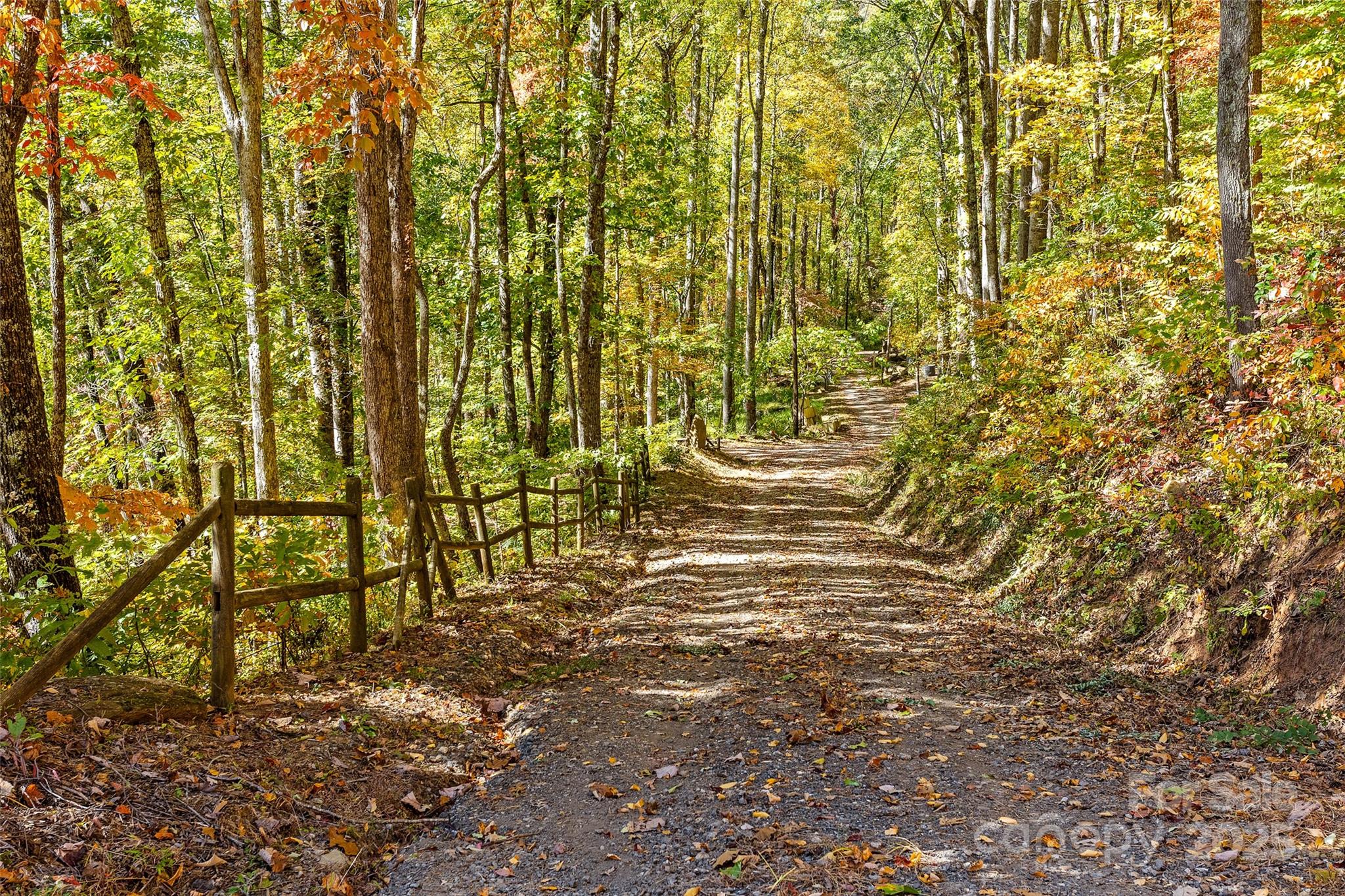310 Log Gap Road Fairview, NC 28730 - Photo 6 of 46