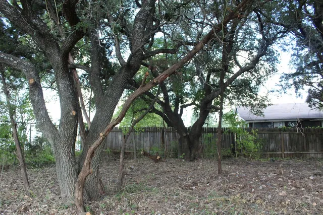 a view of a house with a trees front of house