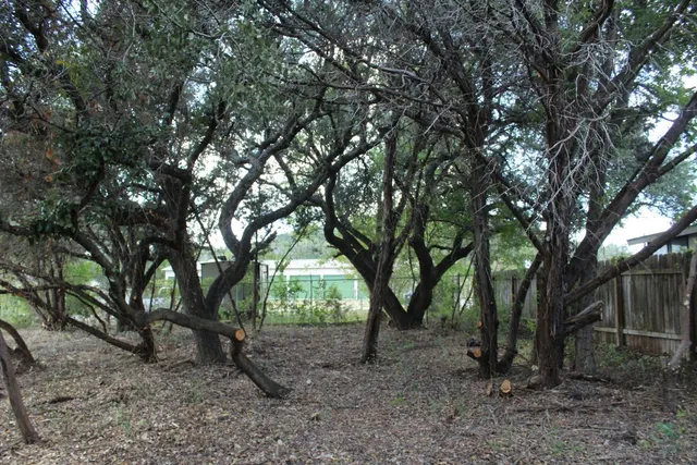 a view of outdoor space and trees