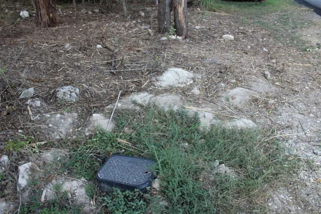 a view of a back yard