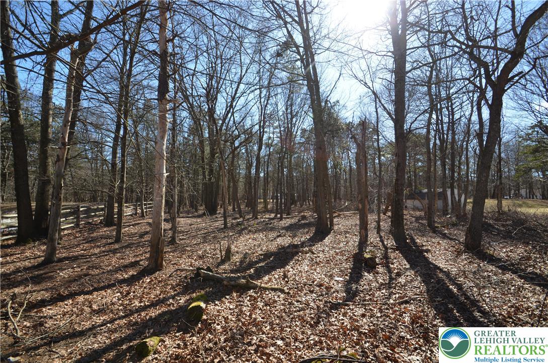 Mountain Road Jim Thorpe, PA 18229 - Photo 2 of 5 a view of a backyard with trees
