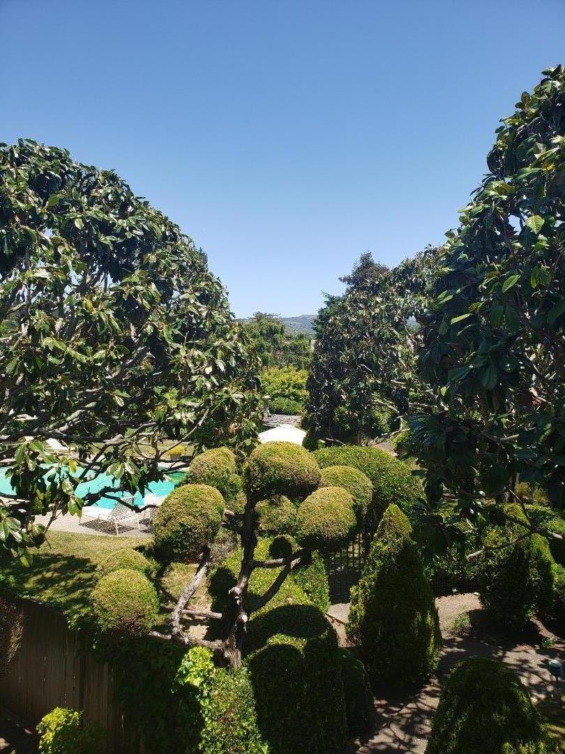 9500 Center Street, Unit 19 Carmel, CA 93923 - Photo 11 of 12 a view of a tree with a plant