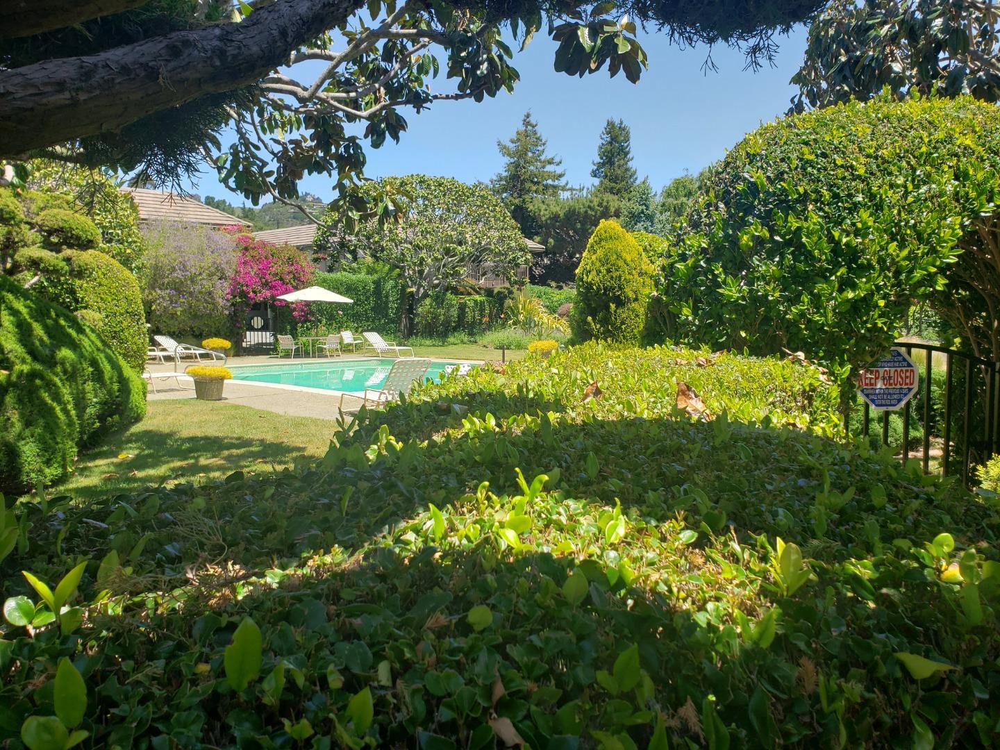 9500 Center Street, Unit 19 Carmel, CA 93923 - Photo 12 of 12 a view of a garden with plants