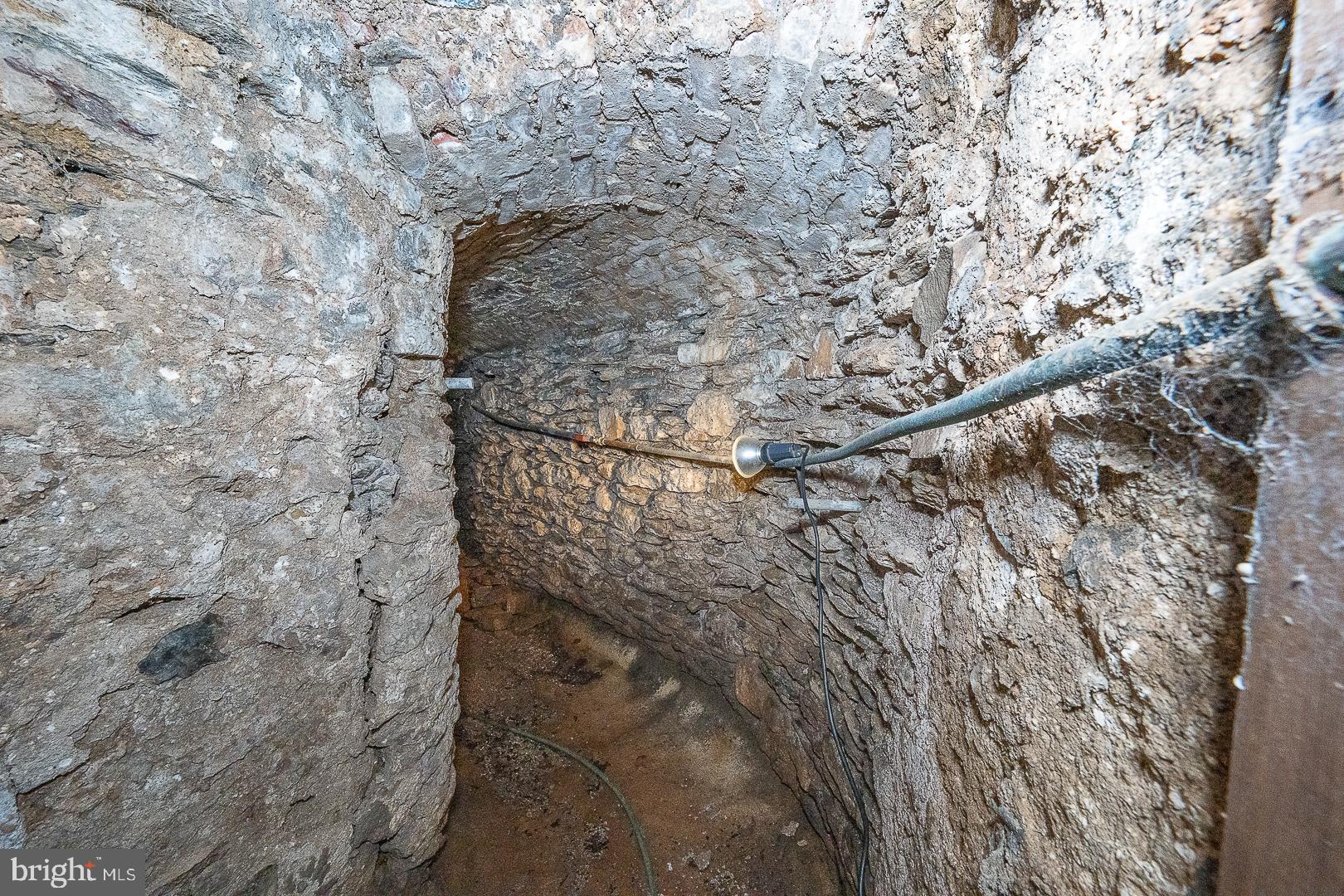 1250 Old Lancaster Road Berwyn, PA 19312 - Photo 45 of 66 Stone Tunnel in Basement