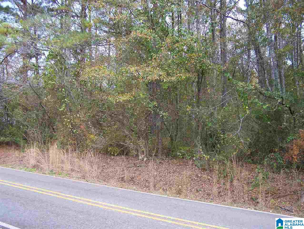 1 Cottaquilla Road Jacksonville, AL 36265 - Photo 4 of 8