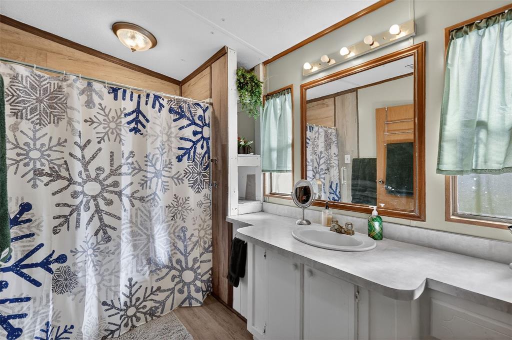 11911 Lane Park Road Tavares, FL 32778 - Photo 18 of 30 a bathroom with a granite countertop sink and a large mirror