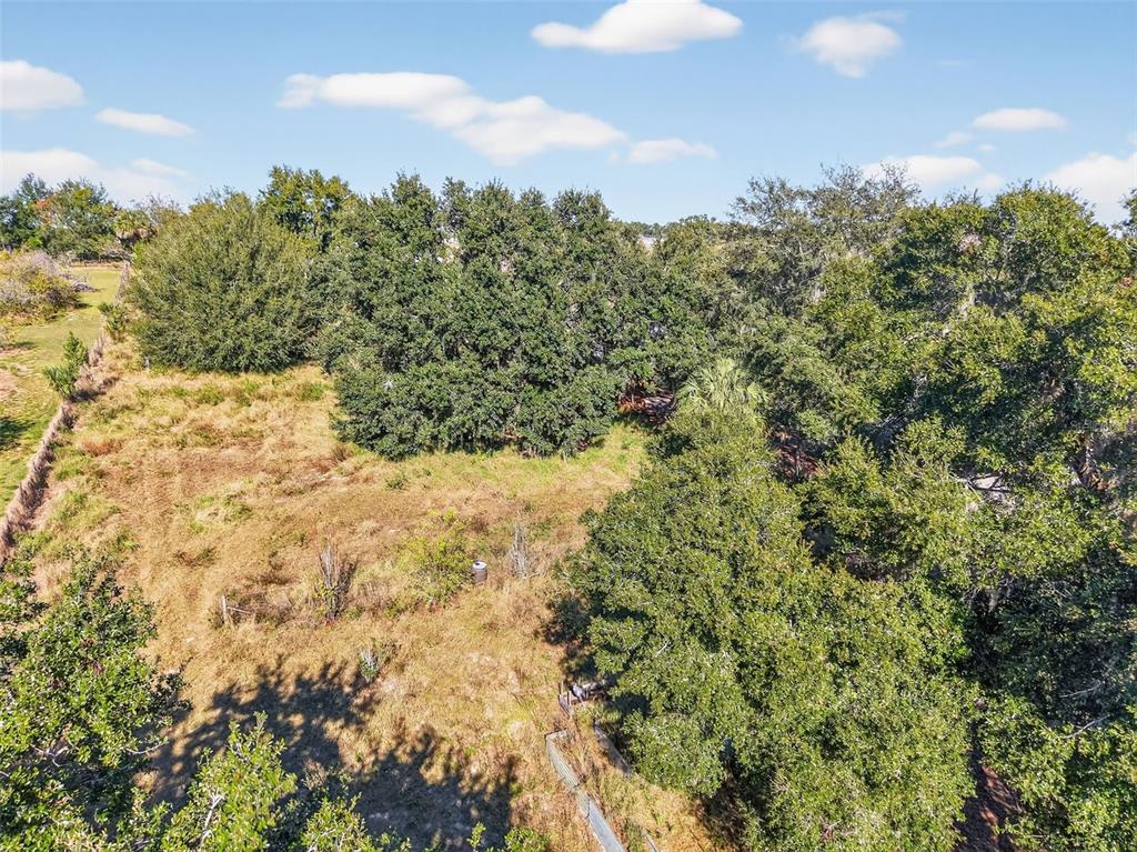 11911 Lane Park Road Tavares, FL 32778 - Photo 30 of 30 a view of a yard covered with snow in outdoor space