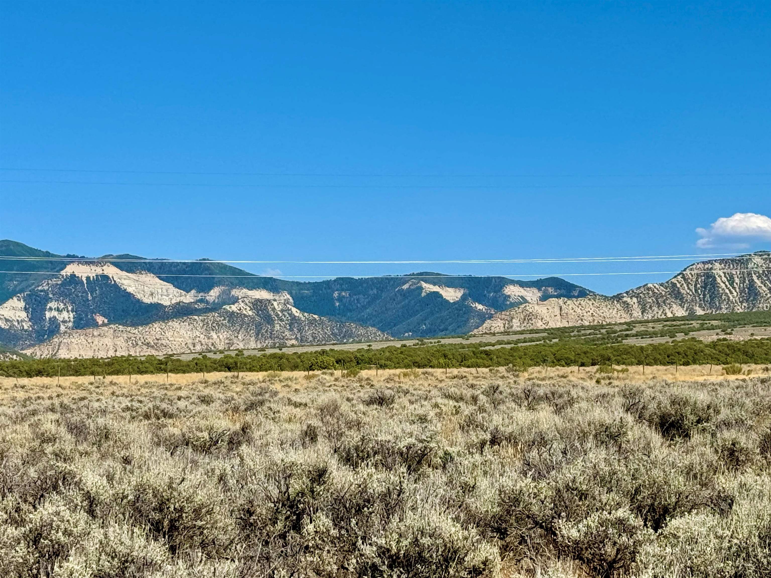 4725 V 5/10 Road De Beque, CO 81630 - Photo 5 of 13 Gallery Image 5