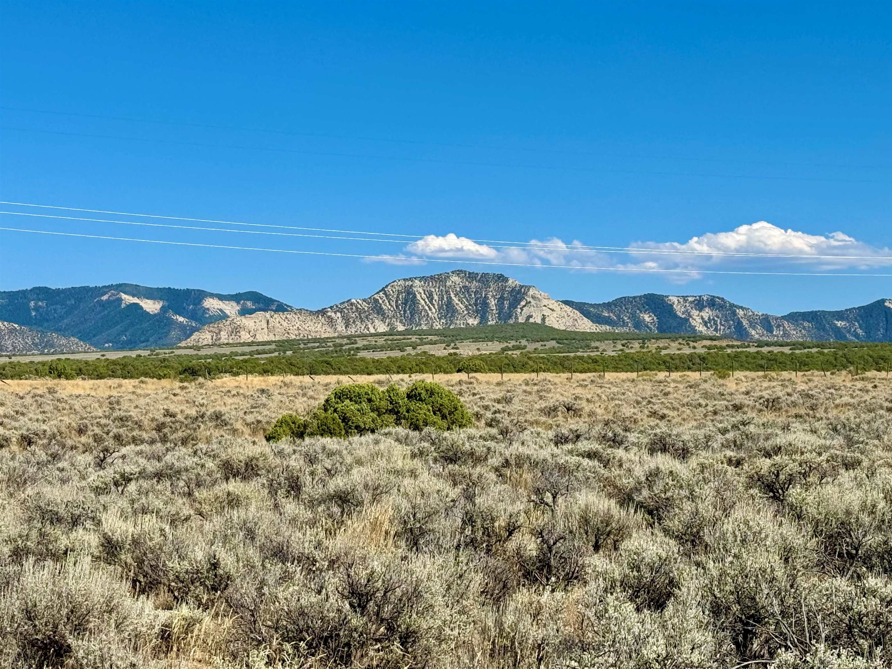 4725 V 5/10 Road De Beque, CO 81630 - Photo 7 of 13 Gallery Image 7
