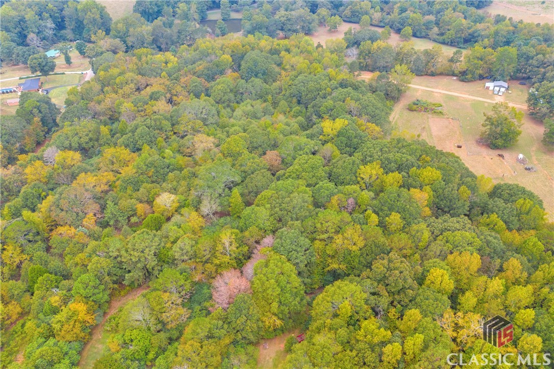 0 Cedar Nicholson, GA 30565 - Photo 13 of 17