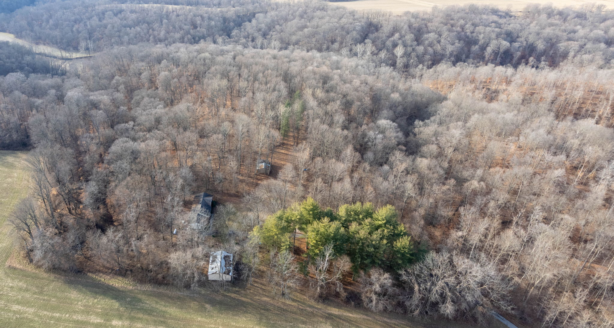 1260 North Olive Church Road Paragon, IN 46166 - Photo 35 of 41 Gallery Image 35