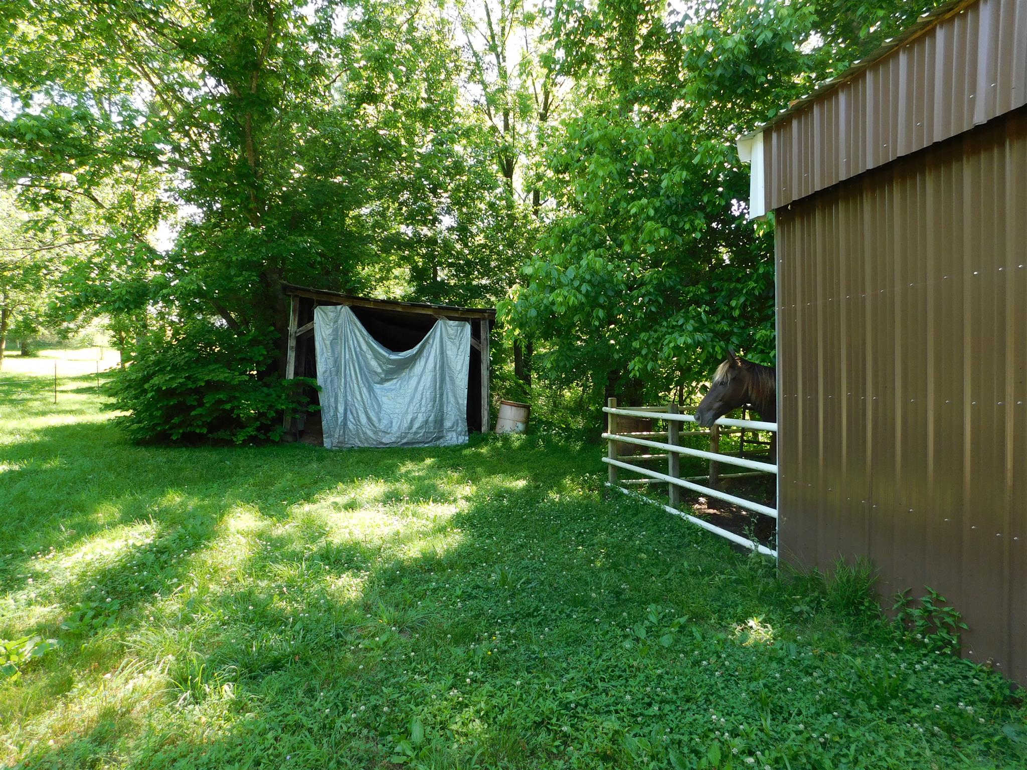 981 Steed Road Waverly, TN 37185 - Photo 3 of 27 Gallery Image 3