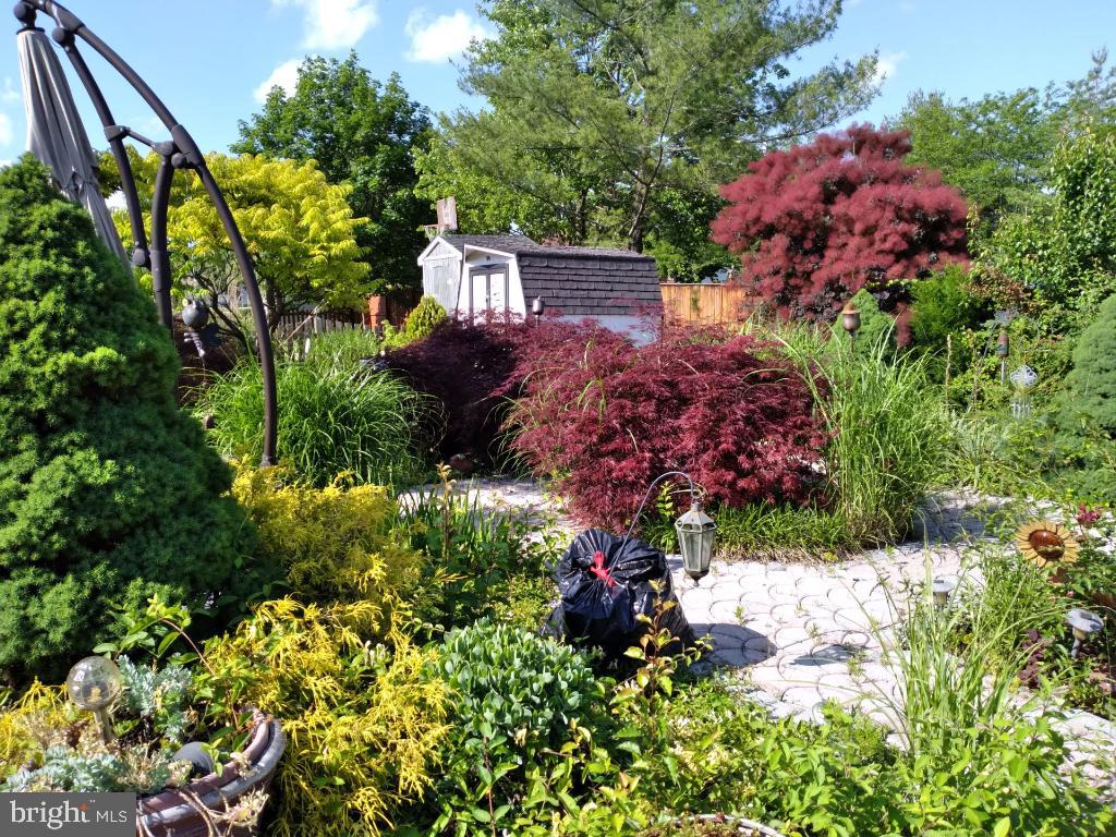 2039 Cross Trails Road Windsor Mill, MD 21244 - Photo 12 of 13 Back yard Pic #1