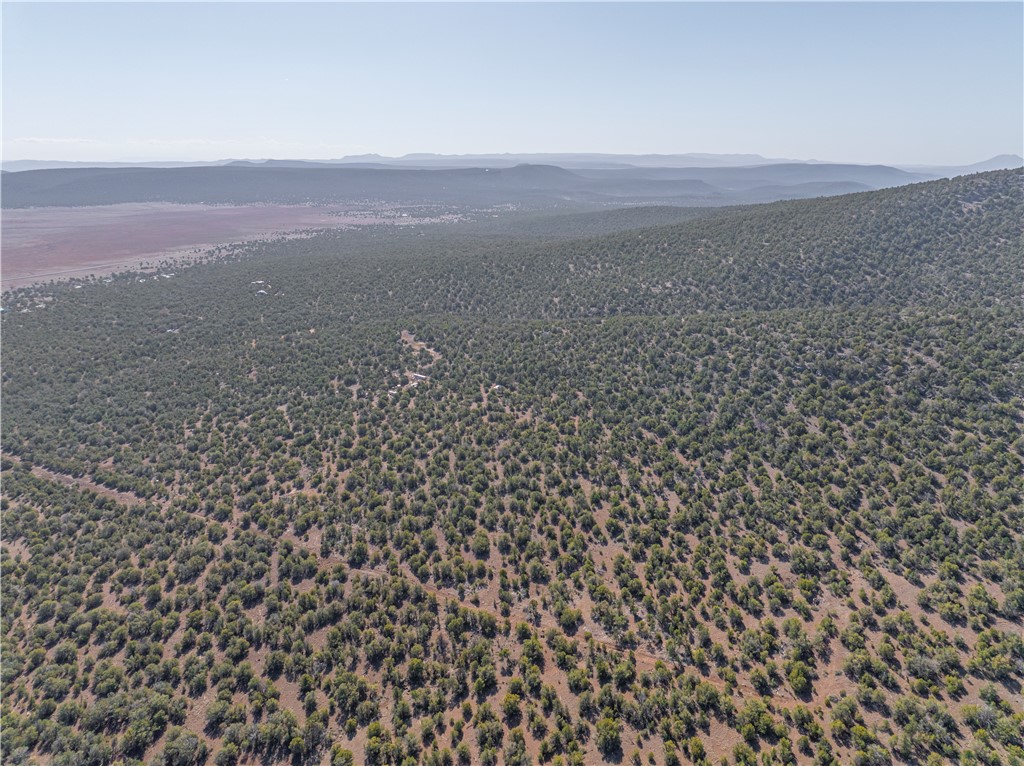 34745 West Running Shadow Road Seligman, AZ 86337 - Photo 15 of 52