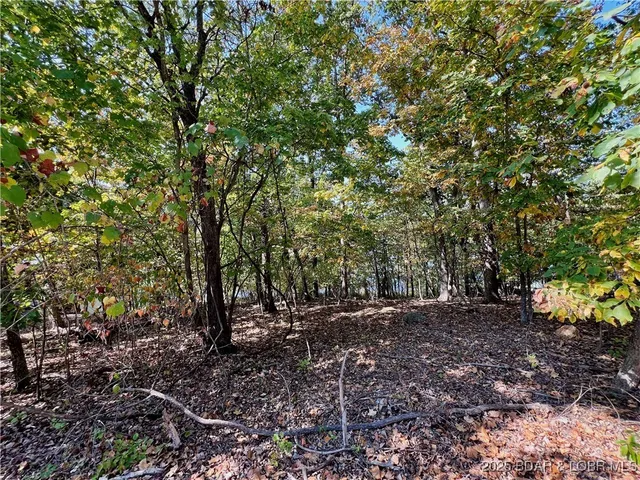 $25,999 | Tbd Stien Road, Climax Springs, MO 65324