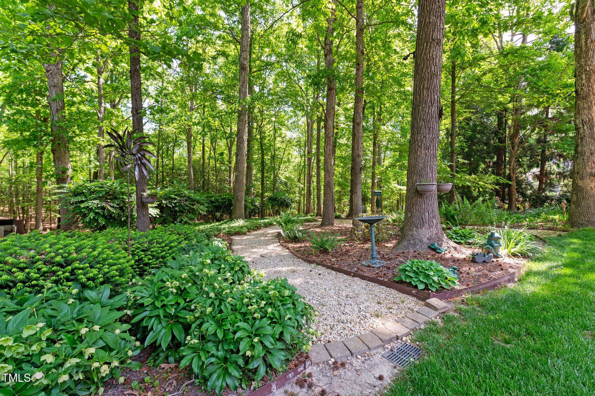7212 Donneeford Road Wake Forest, NC 27587 - Photo 44 of 51 Park like back yard