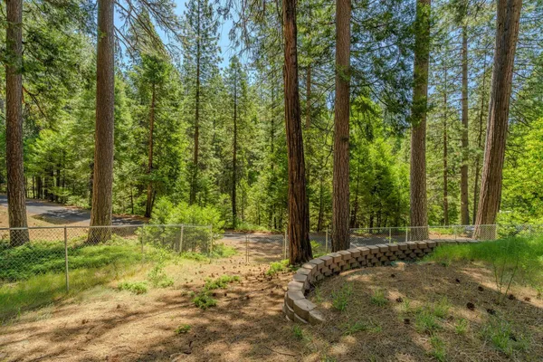 $499,000 | 19541 Woodridge Drive, Pioneer, CA 95666