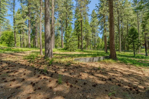 a backyard of a house with large trees and outdoor seating